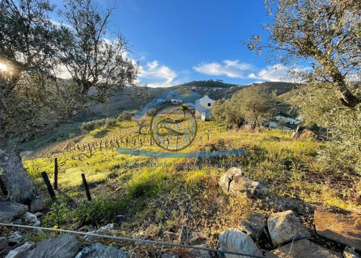 162636818_193449082229875_2219057337145961609_n