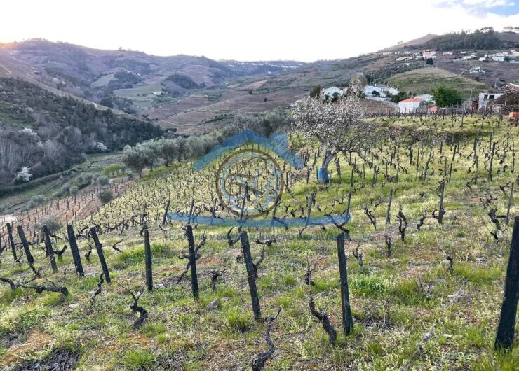 162780304_536272960689705_224560392799265192_n