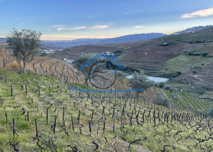 162836436_882032315701892_4676524557986890136_n