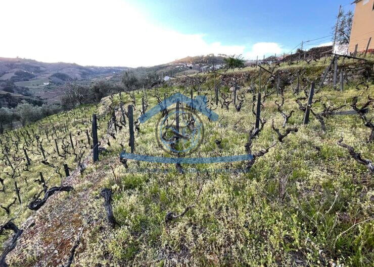 163324952_142189067805396_285329982553984565_n